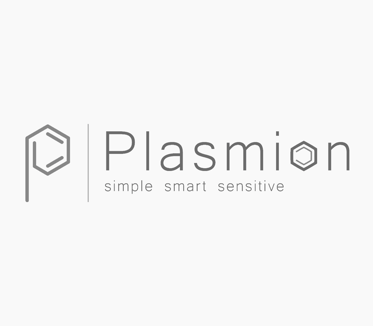 Plasmion